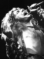 Robert Plant (Led Zeppelin)